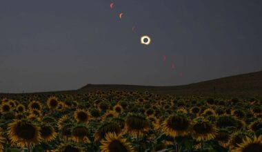 We've been eclipsed: NASA photographers share stellar images from this week's solar event – and there's at least one Easter egg that's worth discovering