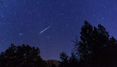 Nanaimo skies clear for annual Perseids peak | NanaimoNewsNOW