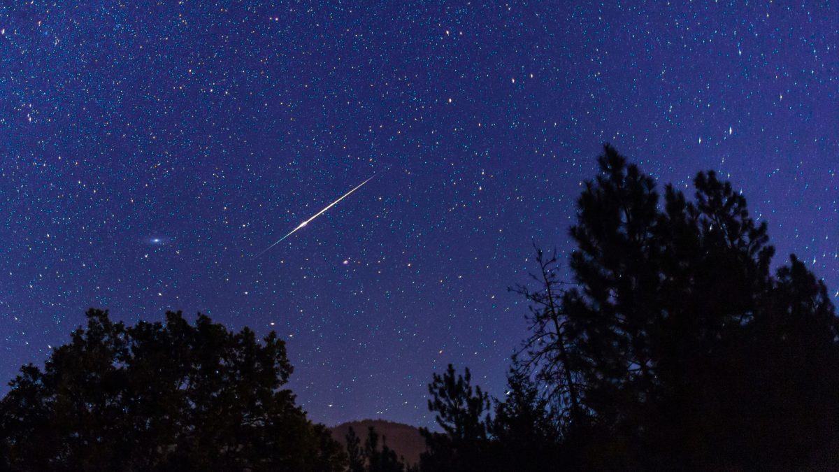 Nanaimo skies clear for annual Perseids peak | NanaimoNewsNOW