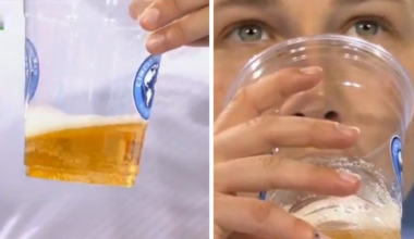 Tennis Star Amanda Anisimova's Mystery Drink Confuses Commentators During Match