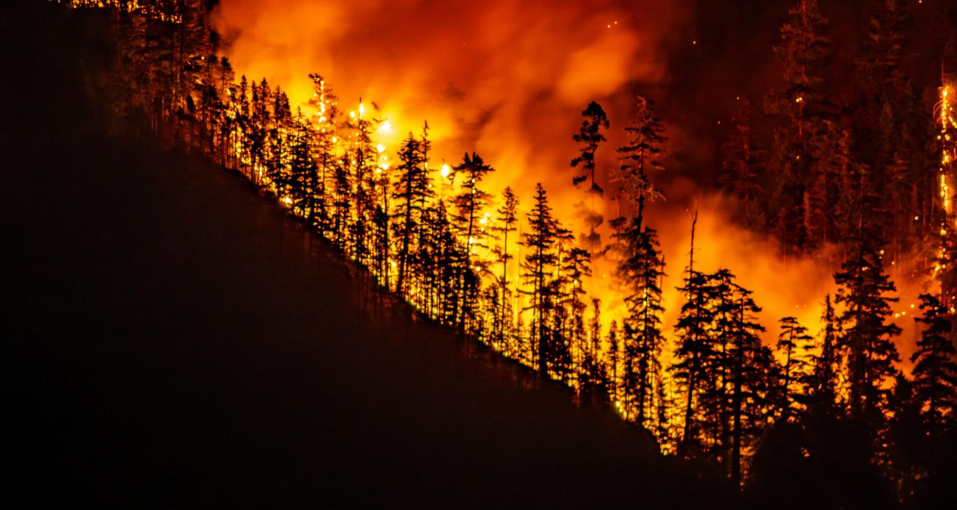 Indigenous First Nations call for support as wildfires sweep through Canada