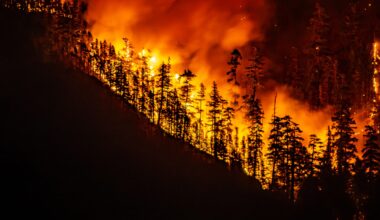 Indigenous First Nations call for support as wildfires sweep through Canada