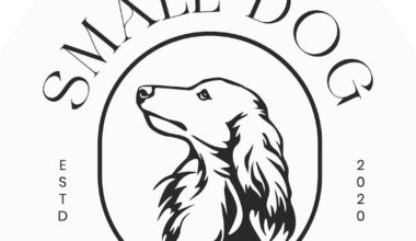 Small Dog Candle Co. closes Ottawa storefront – Shaw Local
