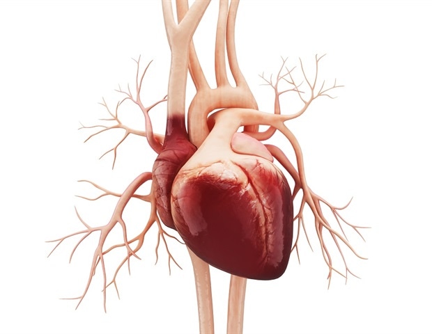 Digital registry strategy doubles heart failure treatment uptake
