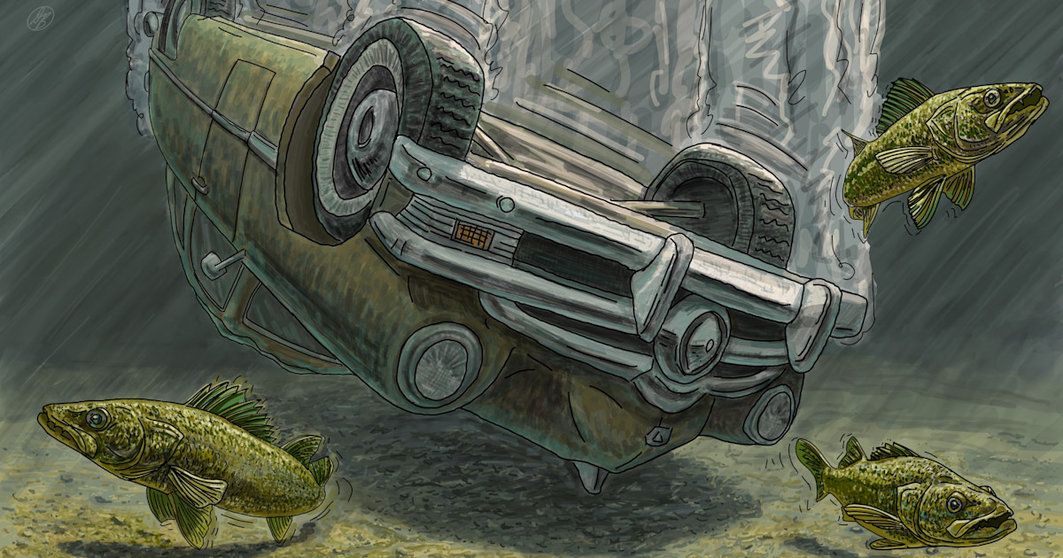 Fisherman Discovered Two Friends Entombed in Car for 45 Years in Wisconsin Lake: Part Two