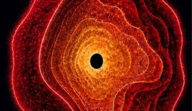 New research proposes that the JWST's Little Red Dots, those puzzling objects from the early Universe, are objects the researchers have dubbed "Black Hole Stars." They're black holes, but instead of just an accretion ring, they're surrounded by a dense cocoon of gas that colours their light red. These could explain the SMBH found so early in the Universe by the JWST. Image Credit: Rohan Naidu (University of Hawai’i)