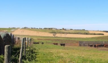 Ottawa invests $50M in Natural Products Canada to strengthen agri-food sector