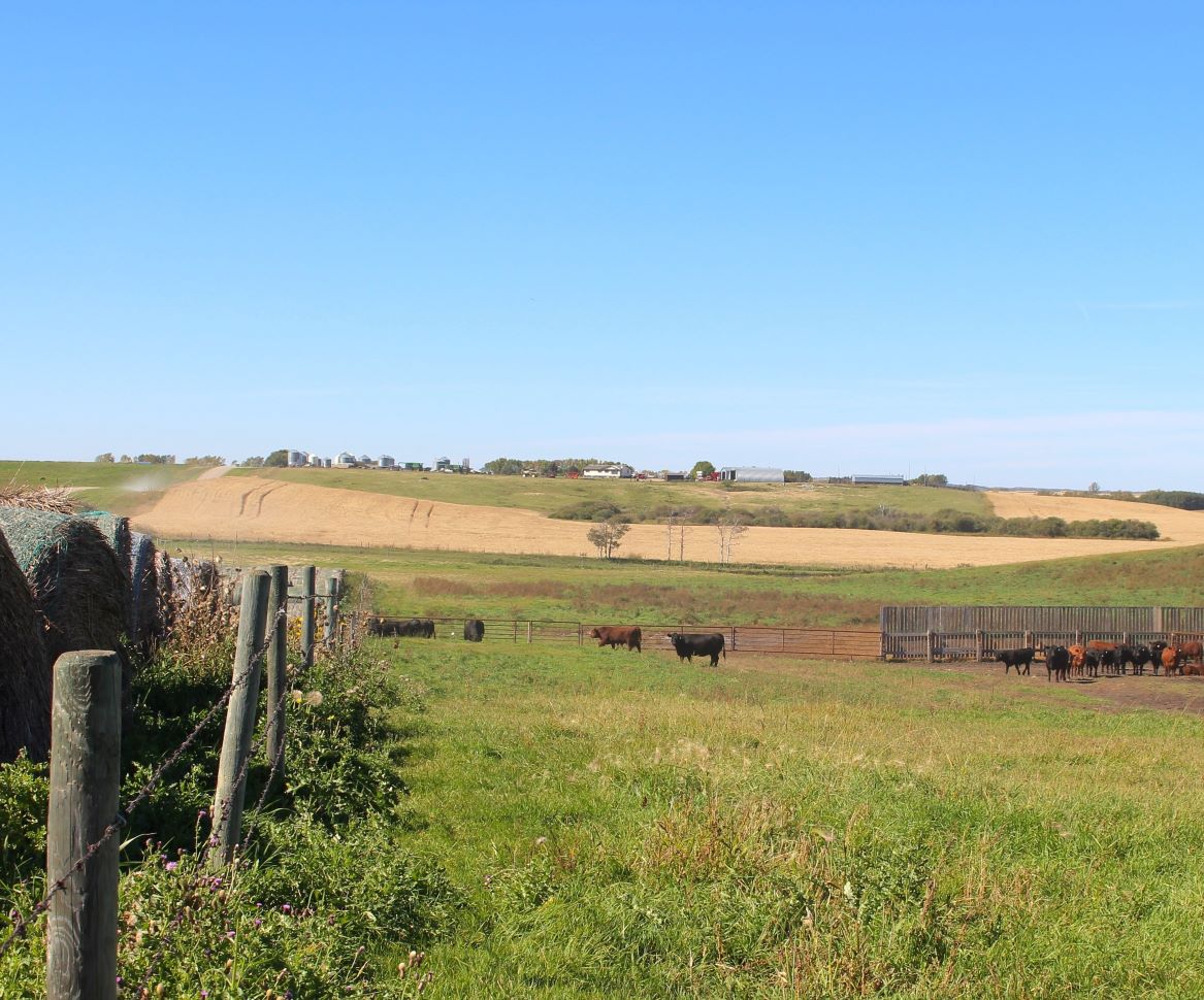 Ottawa invests $50M in Natural Products Canada to strengthen agri-food sector