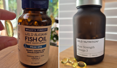Best omega-3 supplements 2026, according to experts