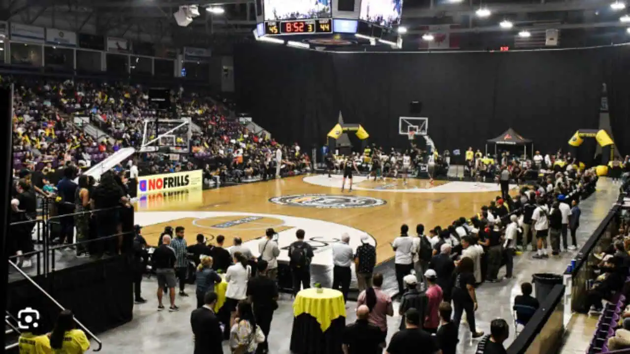 badgers brampton caa winnipeg basketball CEBL