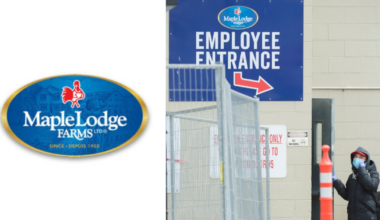 Maple Lodge Farms: Severe carbon dioxide exposure