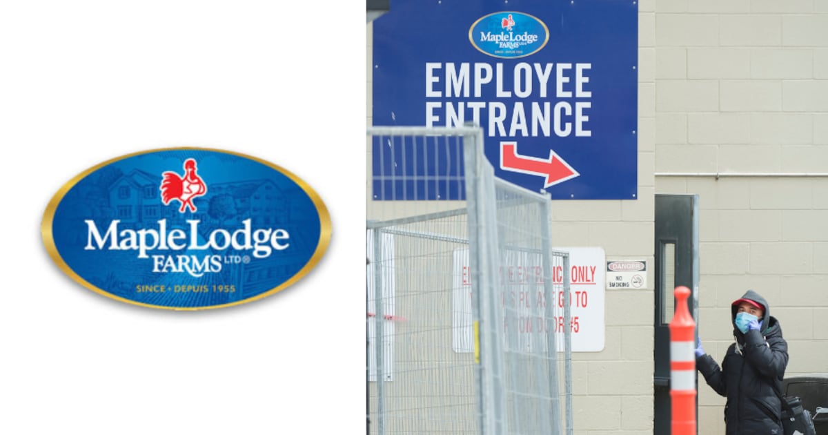 Maple Lodge Farms: Severe carbon dioxide exposure