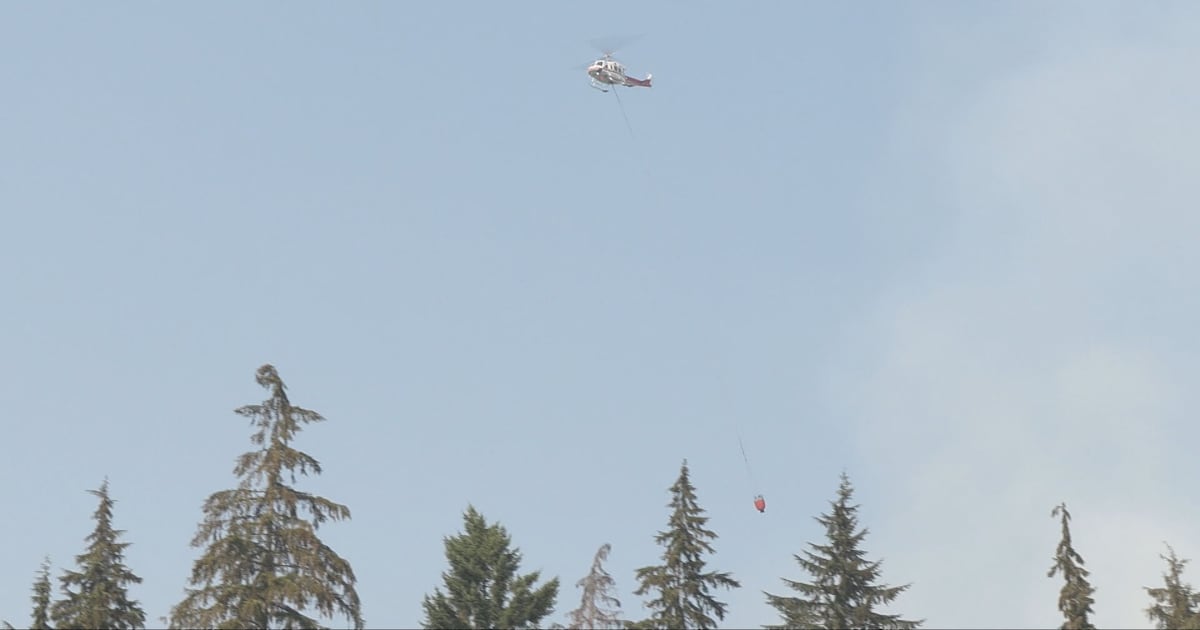Out-of-control wildfire burning in Metro Vancouver park suspected to be human-caused - CTV News