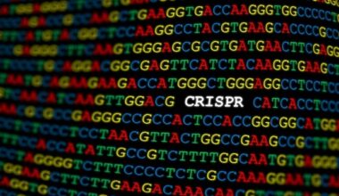 Stanford scientists develop an ultracompact gene activation tool