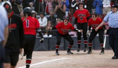 Operator agreement for South Surrey’s Softball City approved