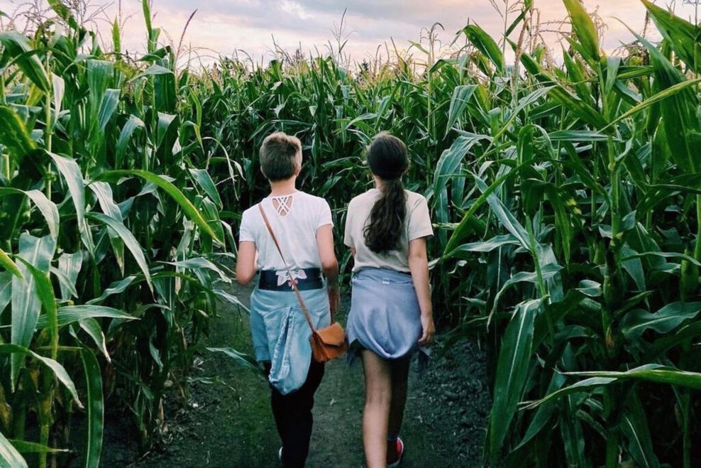 Chilliwack Corn Maze