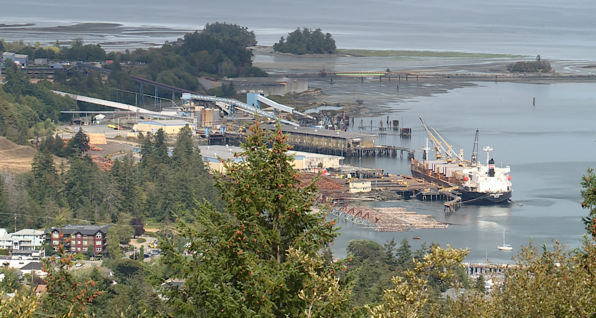 Vancouver Island MP asks Ottawa to consider buying Crofton mill