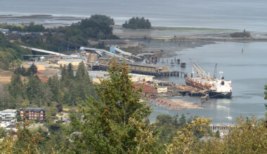 Vancouver Island MP asks Ottawa to consider buying Crofton mill