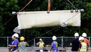 Marineland: 7 more belugas move to U.S. aquarium
