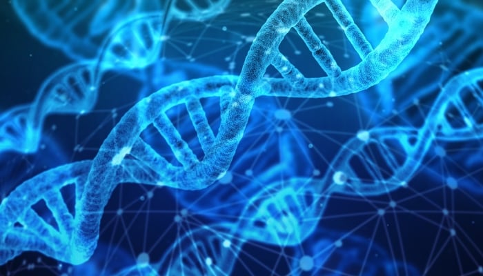 How DNA helped solve a 20-year-old Toronto cold case murder