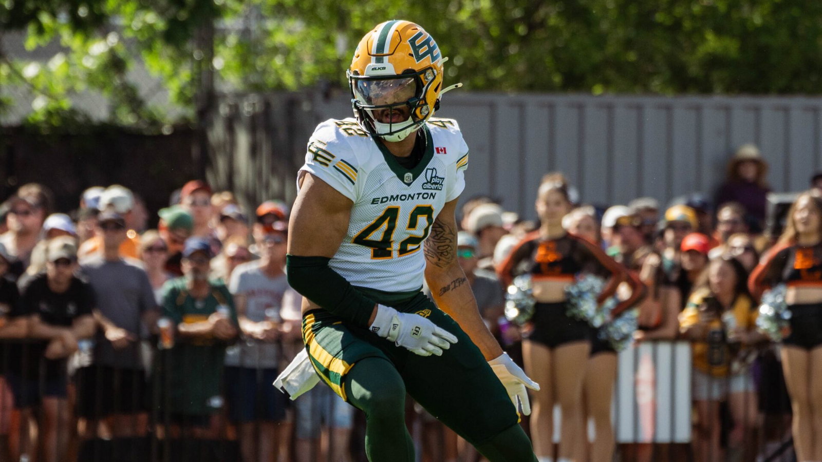 CFL fines Edmonton Elks' Noah Taylor for contacting official, disciplines two others