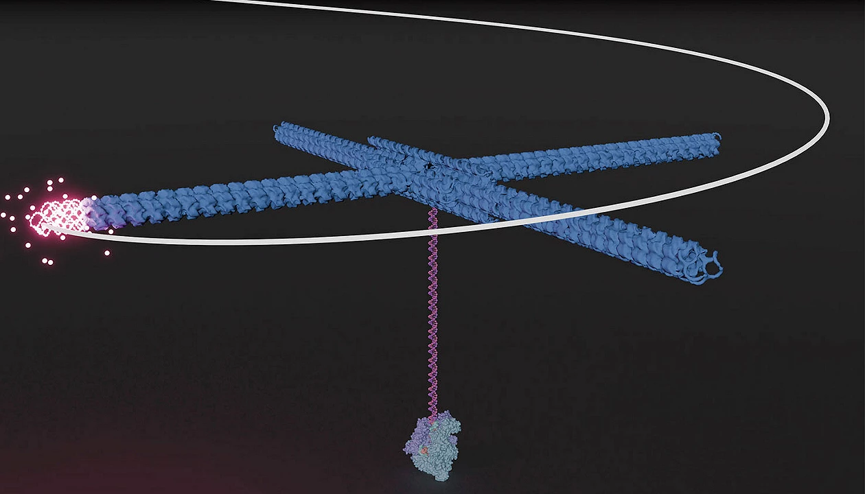 Modified DNA-origami method images transcription over time