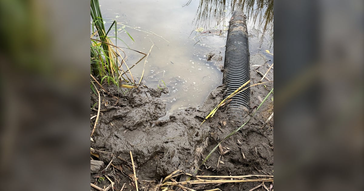 Woman rescued from mud inside Rebecca Pond