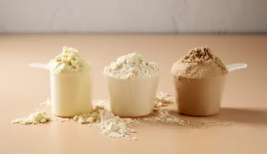 protein powders