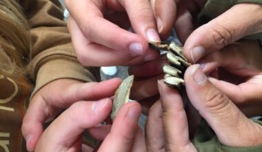 Muenster kids dig into dinosaurs, fossils and prehistoric science - DiscoverHumboldt.com
