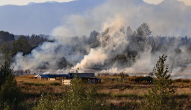 Bush fire breaks out in Surrey on Saturday