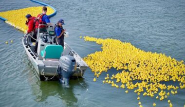 Ducktona 5000 returning to South Surrey waterfront Sept. 12