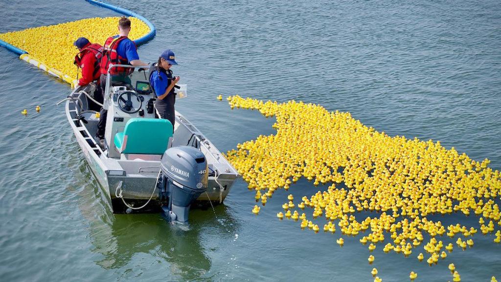 Ducktona 5000 returning to South Surrey waterfront Sept. 12