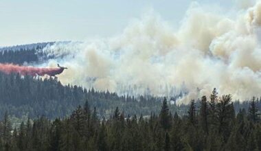 Guichon Creek fire near Logan Lake holding at 145 hectares