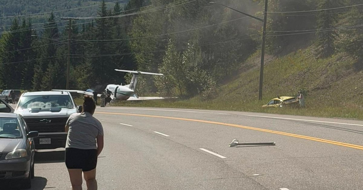 1 dead after plane makes emergency landing in Prince George, B.C. - CTV News