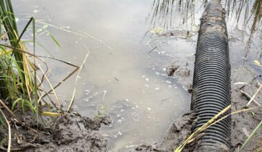 Woman trapped waist-deep in Kanata by mud, rescued