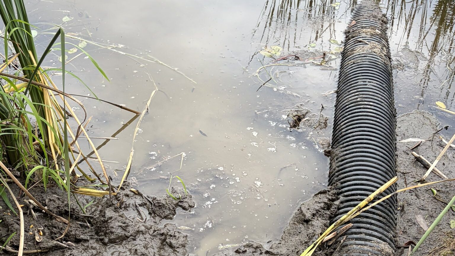Woman trapped waist-deep in Kanata by mud, rescued