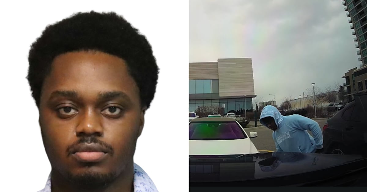 Toronto-area vehicle theft spree: Man facing nearly 30 charges