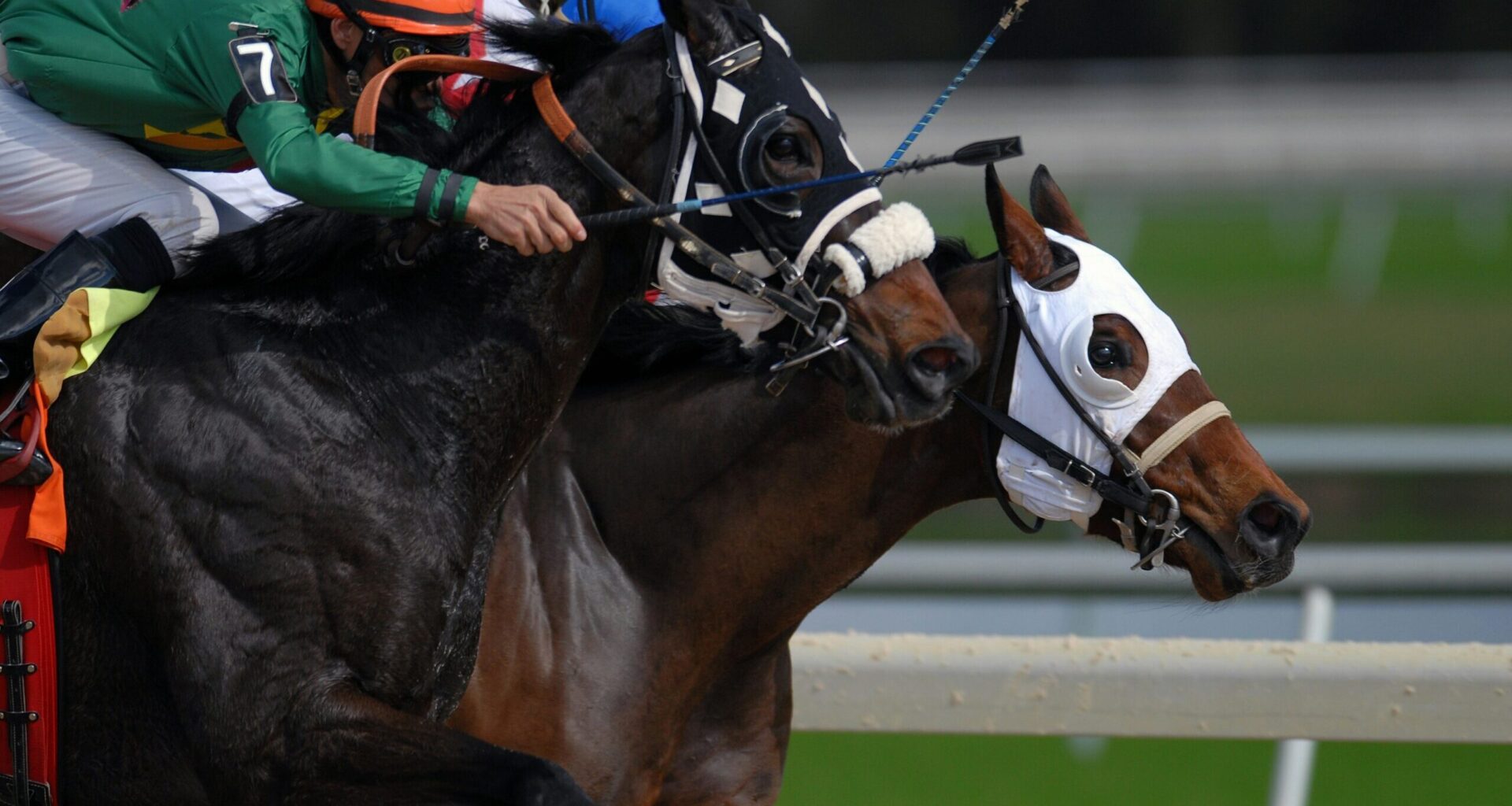 There is ‘harm in entertainment,’ says Winnipeg Humane Society after racehorse euthanized