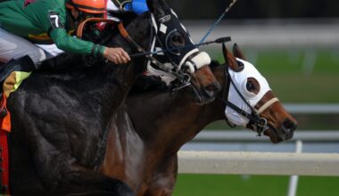 There is ‘harm in entertainment,’ says Winnipeg Humane Society after racehorse euthanized