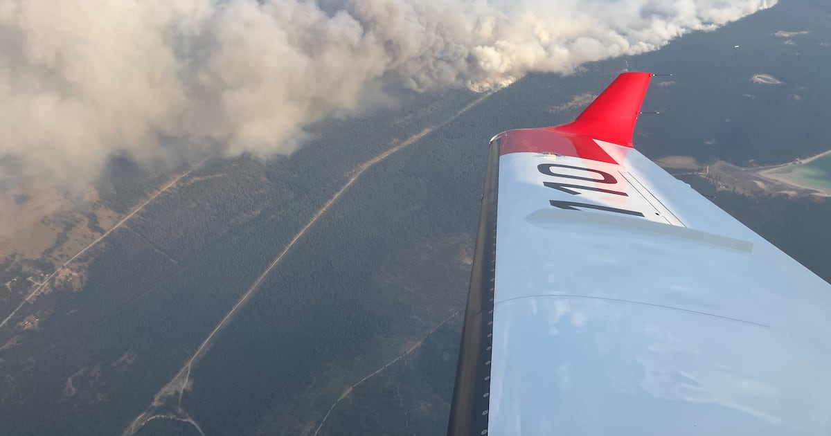 Power outages in B.C.’s East Kootenay region due to wildfire smoke, storm damage - ctvnews.ca