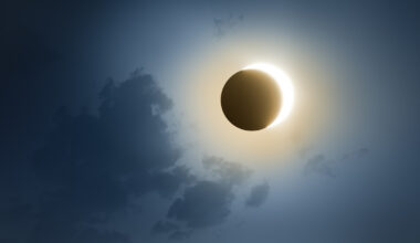 A partial solar eclipse and a spectacular view of the Perseids meteor shower will be visible in Montreal on Wednesday, Aug. 12.