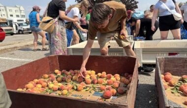 Ugly Potato Day feeds thousands in Kelowna