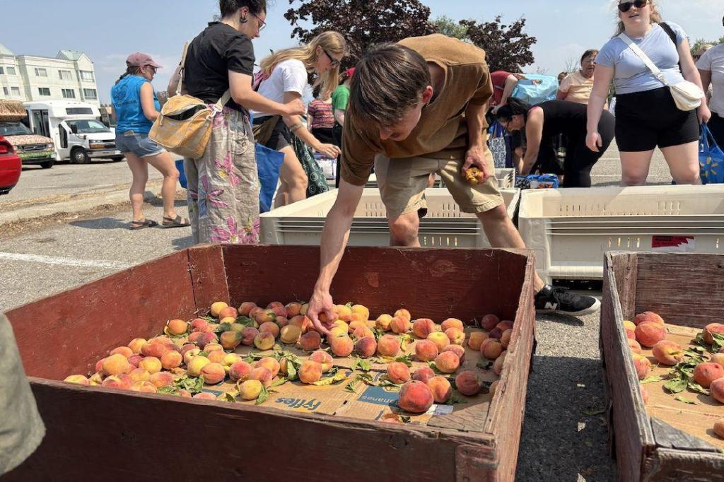 Ugly Potato Day feeds thousands in Kelowna