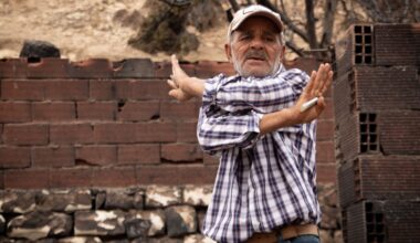 Tunisian wildfires expose failing infrastructure, community vulnerabilities | Agriculture
