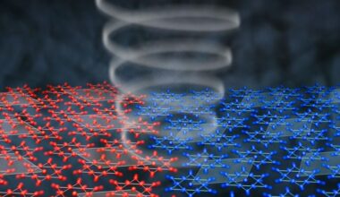 Illustration of Opposing Crystal Domain Orientations