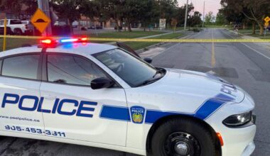 Single-vehicle crash causes power outage in Brampton - Toronto