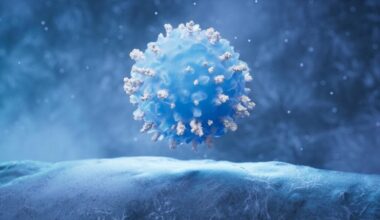 Immune T Cell