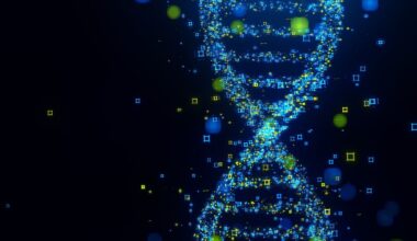 Ancient humans: Traces of ancestors found in DNA