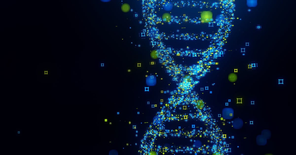Ancient humans: Traces of ancestors found in DNA