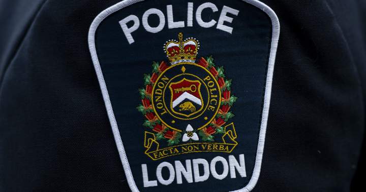 Woman, 73, dies after being stabbed in London, Ont., home invasion